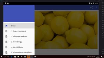 Benefits of Lemon Detox Diet screenshot 2