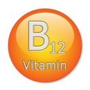 Vitamin B12 Foods APK