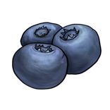 Antioxidant Foods and Herbs