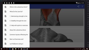 Lats Exercises and Stretches تصوير الشاشة 3