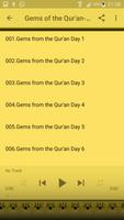 Sheikh Muiz Bukhary-Gems of the Qur'an 스크린샷 3