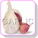 Best ways to Remove Garlic smell from your Mouth APK