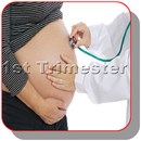 Fact about first trimester of pregnancy APK