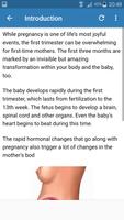 Fact about first trimester of pregnancy Affiche