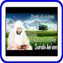 Al An'am Collection Reciter aplikacja