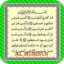 Al mu'minun Collection Reciter APK