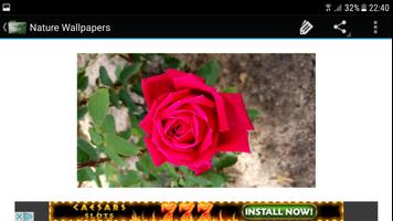 برنامه‌نما Nature Wallpaper Homemade عکس از صفحه