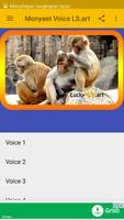Monyet Voice LS.art تصوير الشاشة 2