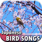 Super Bird Songs Japanese icône