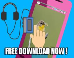 Super Bird Songs Japanese स्क्रीनशॉट 2