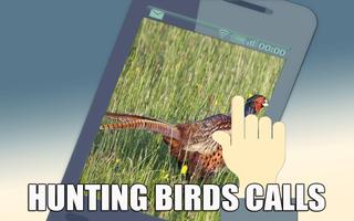 Poster Hunting Bird Calls