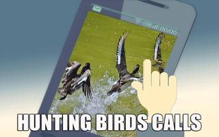 1 Schermata Hunting Bird Calls