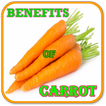 Benefits of Carrot (prepare food & juice)