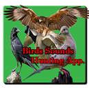 Bird Hunting All Birds Sounds/Calls In One App. APK