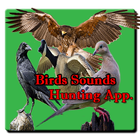 Bird Hunting All Birds Sounds/Calls In One App. icône
