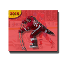 Hockey Cards Collection APK