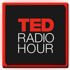TED Radio Hour icône