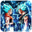 Dragon DBS Goku Vegeta wallpaper