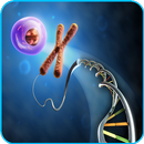 DNA Wallpaper APK