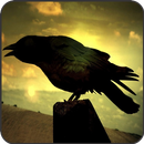 Crow Wallpaper APK