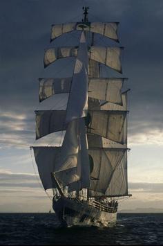 Black Pearl Wallpaper For Android Apk Download