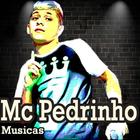 Melhores Musicas do Mc Pedrinho icône