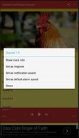 Chicken Rooster Sounds تصوير الشاشة 1