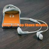 Songs List Top Shawn Mendes icône