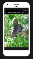 Beautyful Butterfly Wallpapers poster
