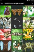 Beautyful Butterfly Wallpapers screenshot 2