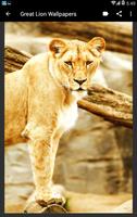 Great Lion Wallpapers captura de pantalla 2