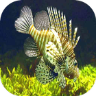 Aquarium 3D Fishes Wallpapers icon