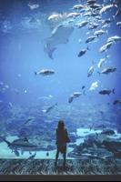 Aquarium 3D Fishes Wallpapers imagem de tela 1