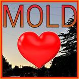 Mold in Flintshire