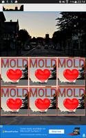 Mold in Flintshire ポスター