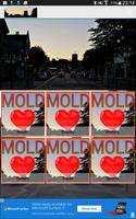 Poster Mold in Flintshire