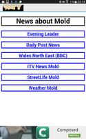 Mold in Flintshire capture d'écran 1