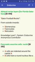 Histology Mnemonics plakat