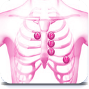 APK Understand Heart Sounds And Murmurs