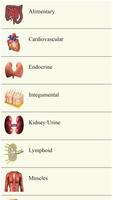 All Medical Mnemonics ảnh chụp màn hình 2