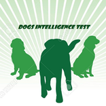 Dog Intelligence Test