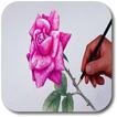 Easy Drawing Tutorials