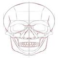 Draw Skulls