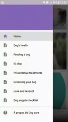 狗护理 APK 下載
