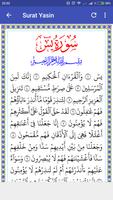 برنامه‌نما Surat Yasin عکس از صفحه