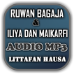 Ruwan Bagaja Da Iliya Dan Maik