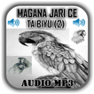 Magana Jari Ce Ta Biyu (2) - A