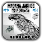 Magana Jari Ce Ta Biyu (2) - A icône