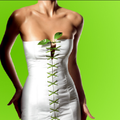 Weight Loss with Green Tea
