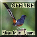 Kicau Murai Batu Offline APK